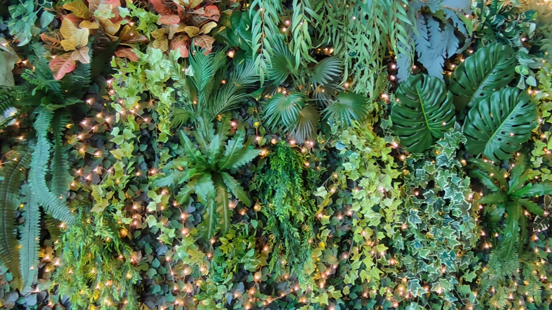 Parete verde 