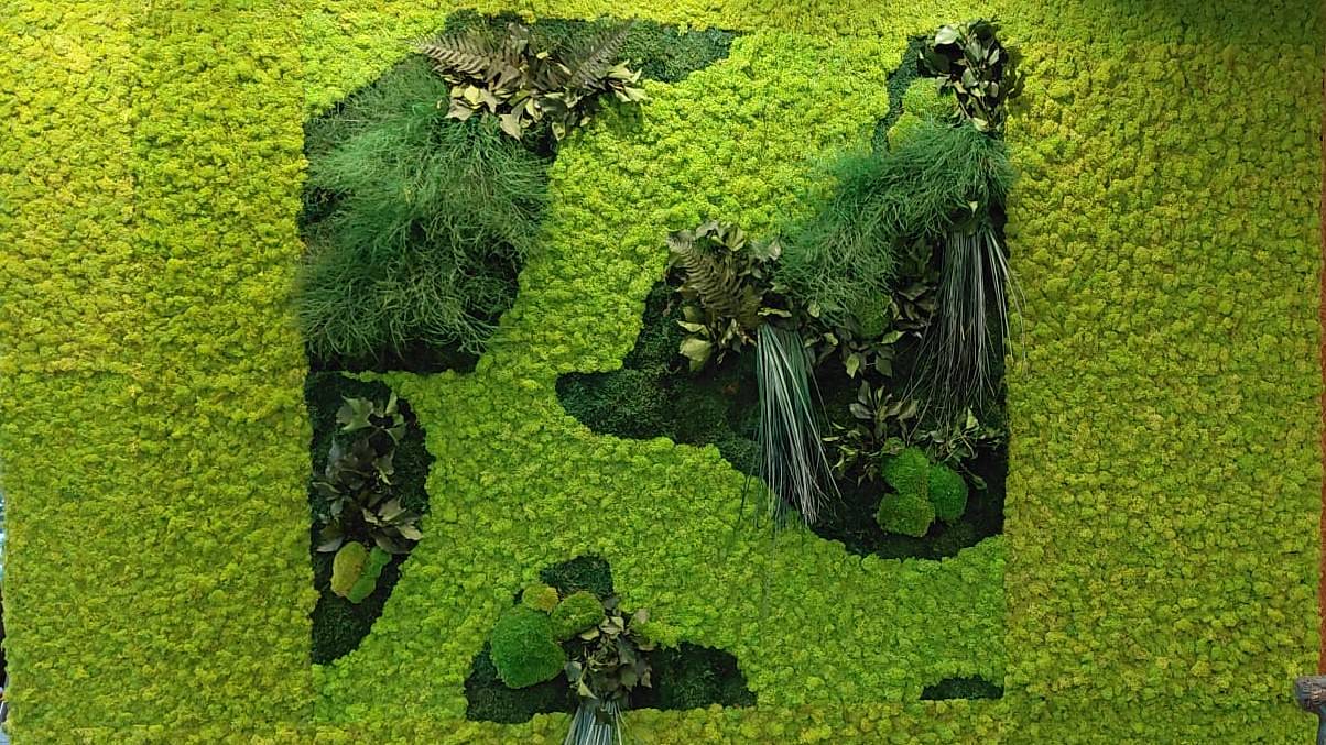 L'arte botanica senza manutenzione
