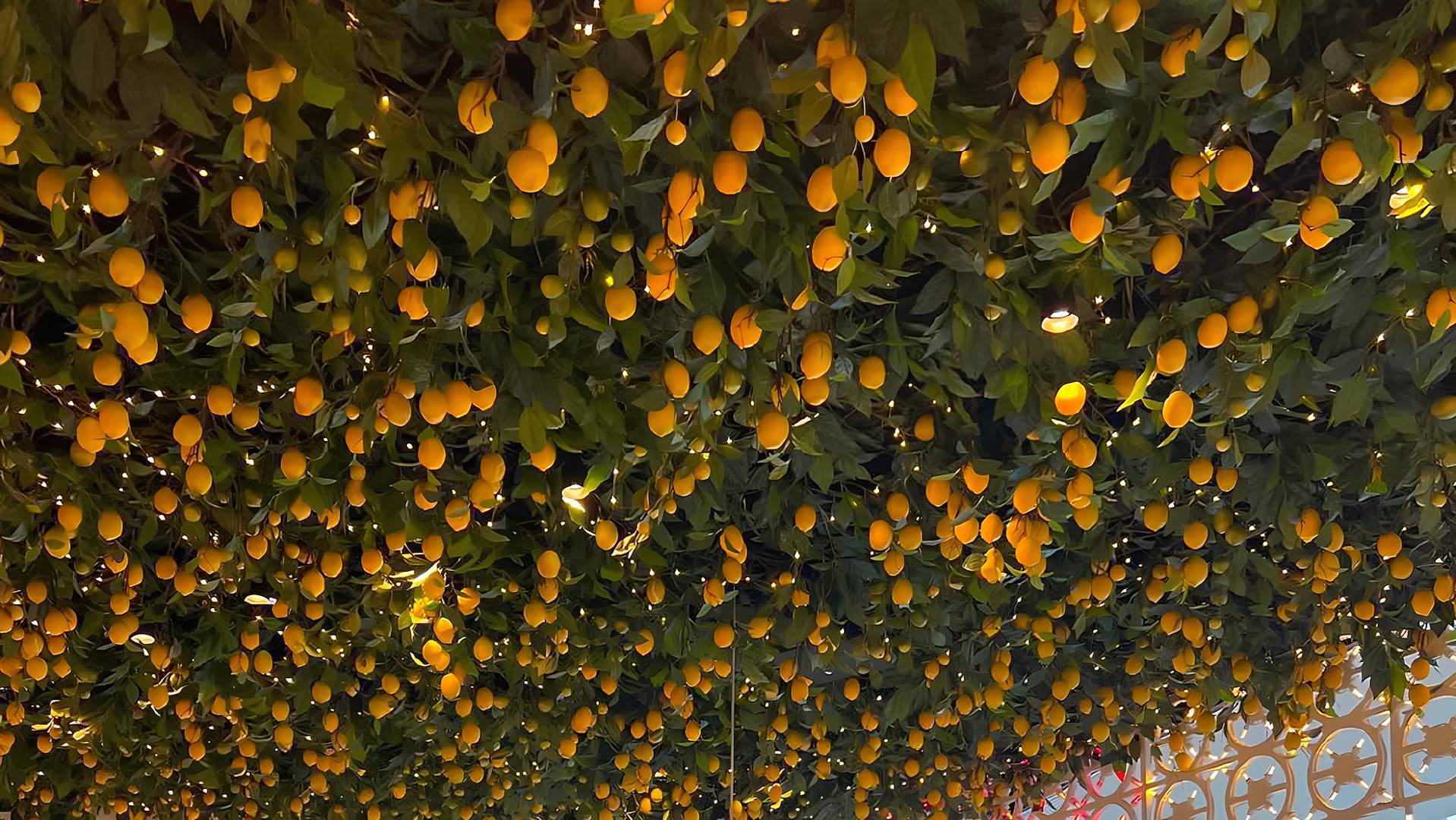 Allestimenti con limoni artificiali