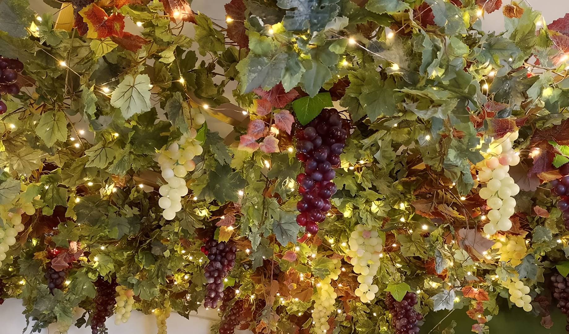 Creare un Vigneto indoor