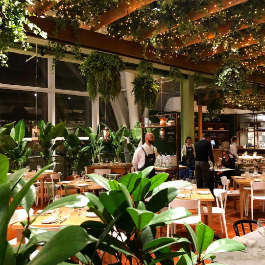Green Restaurant Design